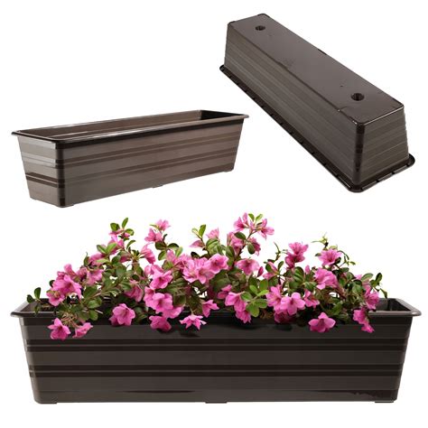 Koláž rôznych aranžmánov s klinčekmi - záhon, balkónová nádoba, kytica.