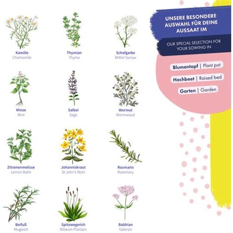 Detailná infografika o liečivých vlastnostiach vybraných bylín