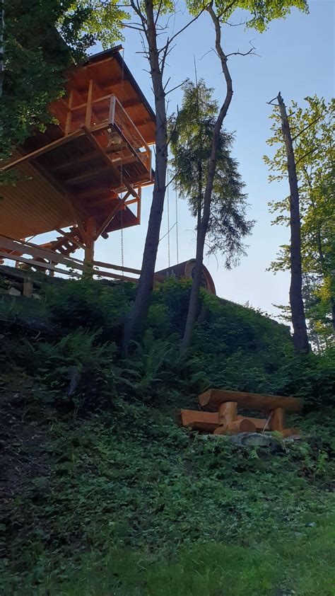 Schéma znázorňujúca epifyty v korunách stromov, ilustrácia príjmu vlahy zo vzduchu a dažďa.