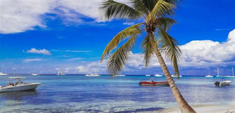 Fotografia: Farmári vysádzajúci kávu alebo kakao na svahoch v Dominikánskej republike v rámci programu agrolesníctva.