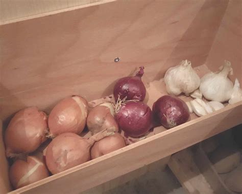 Skladovanie cibule: tmavá, chladná a suchá pivnica