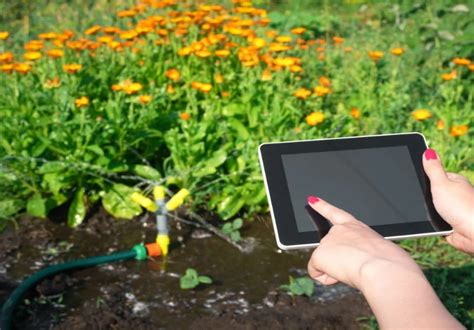 ilustrácia zavlažovania záhrady v ranných hodinách