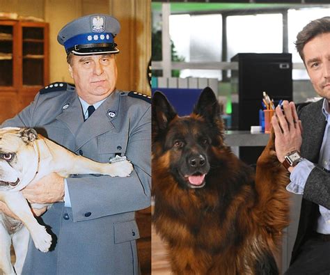 Porovnanie frakcií: od jemného piesku až po hrubší vulkanický štrk
