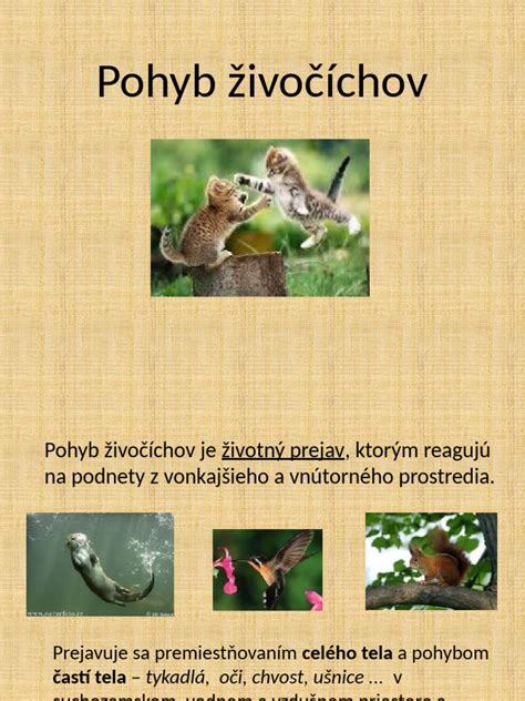 Infografika porovnania vstrebávania živín v závislosti od typu pôdy