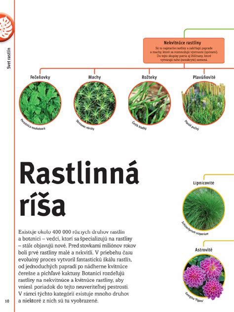 Rôznorodosť reprodukčných metód rastlín