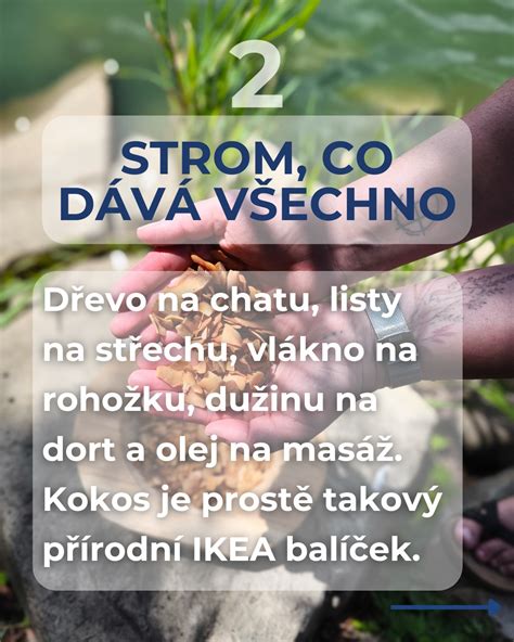 Základná infografika o ľane siatom, vrátane historického rozšírenia a hlavných produktov (vlákno, semeno, olej)