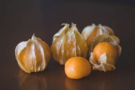 Detailná fotografia oranžového plodu machovky v otvorenom papierovom kalichu