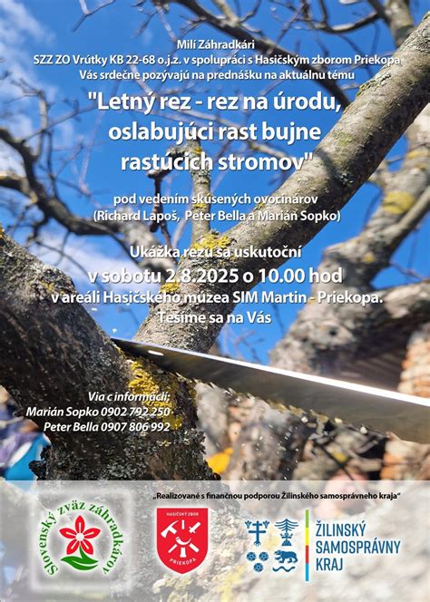 Ilustračná fotografia letného rezu ovocných stromov
