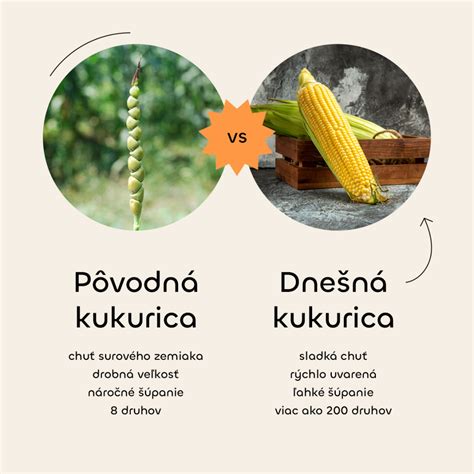 porovnanie selektívneho a totálneho herbicídu