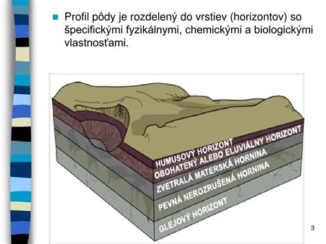 Profil pôdy v oblasti s hlinitým a hlinitopiesočnatým zložením