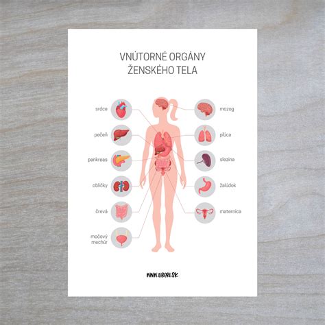 Ilustrácia šiestich chutí v ayurvéde s popisom ich účinkov