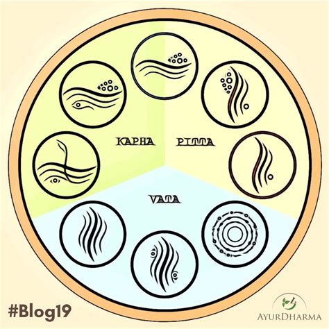 Infografika s odporúčanými a nevhodnými potravinami pre jednotlivé dóše (Váta, Pitta, Kapha)