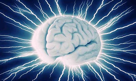 Obrázok s rôznymi druhmi korenín a ich popisom