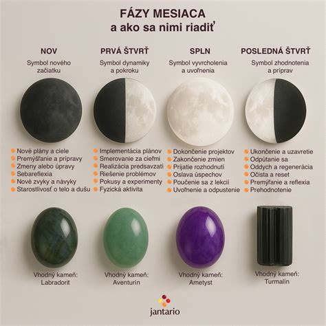 infografika fáz Mesiaca a ich vplyvu na rastliny (korene vs. nadzemná časť)