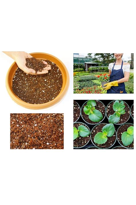 Zmes rôznych materiálov pre kaktusový substrát: piesok, kompost, perlit, drevné uhlie