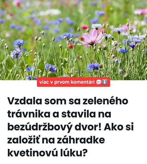 Ilustračná fotografia krásneho, hustého zeleného trávnika.