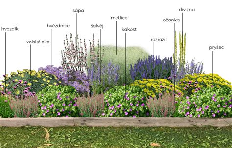 Schéma výsadby kvetinových záhonov s postupným kvitnutím