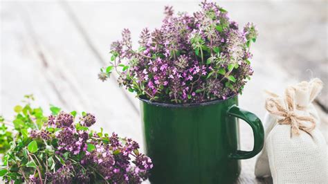 prehľadová infografika s najčastejšími účinkami materinej dúšky