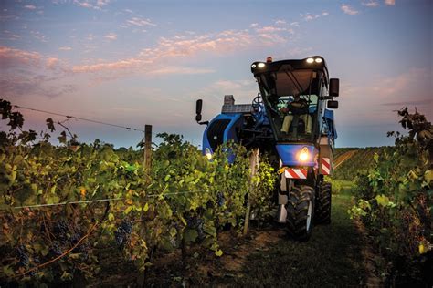 Mechanizovaný zberač hrozna v akcii