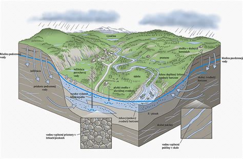 Schéma výsadby brusníc do pôdy s naznačenou drenážnou vrstvou a kyslým substrátom
