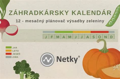Infografika: Augustový kalendár výsadby trvaliek