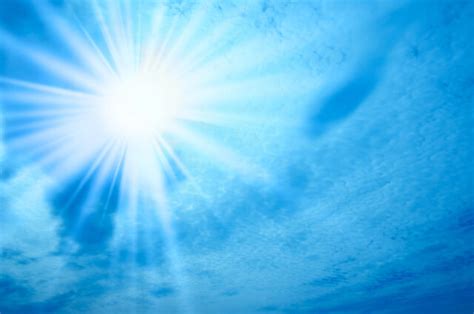 Schéma optimálnych podmienok pre pestovanie liesky: pôda, slnečné žiarenie a optimálne pH.