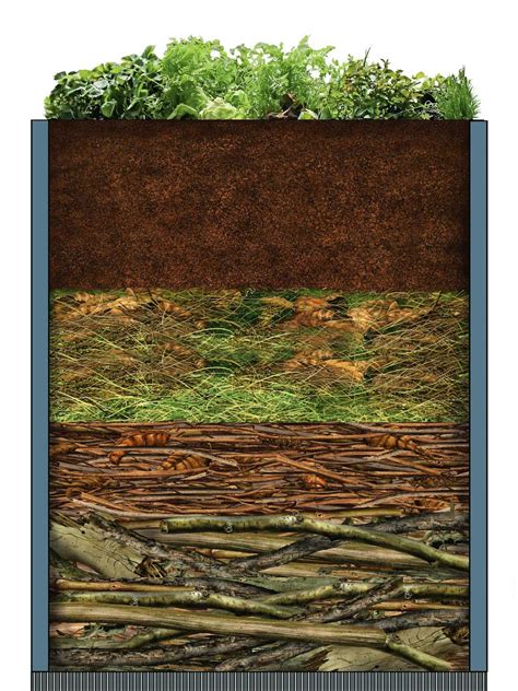 Inforgrafika o vrstvení materiálu do vyvýšeného záhona pre zeleninu.