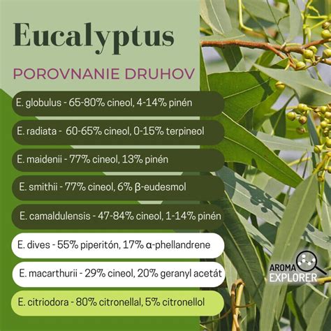 Infografika znázorňujúca pozitívne účinky hroznového oleja na hydratáciu a elasticitu pleti