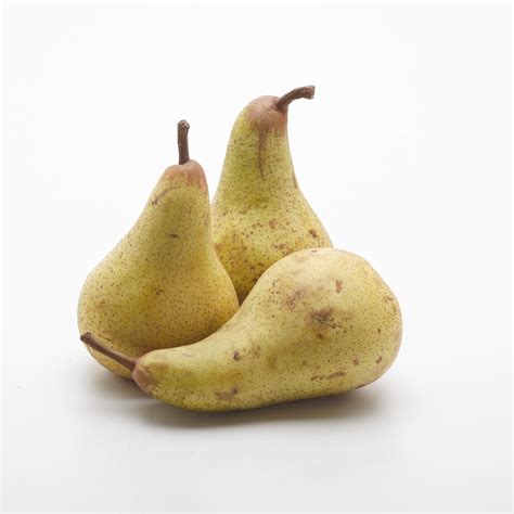 Ilustračná fotografia plodov hrušky Konferencia
