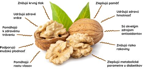 Infografika o zdravotných benefitoch vlašských orechov