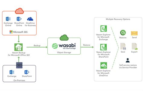 Schéma ideálneho stanoviska pre wasabi: polotieň, vlhká humózna pôda a blízkosť vodného zdroja