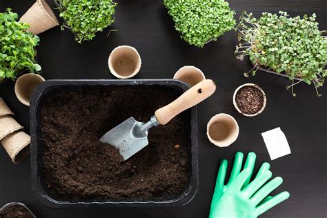 ilustrácia rôznych druhov semien byliniek a vhodného substrátu na výsev