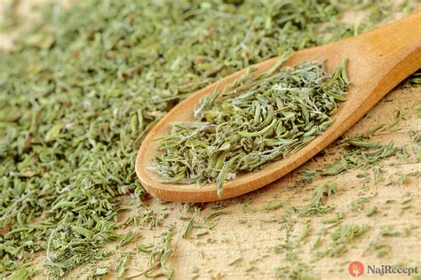 foto mladých sadeníc byliniek pri otužovaní vonku