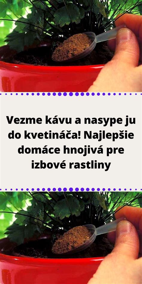 Ilustrácia správneho presádzania rastliny do nového kvetináča