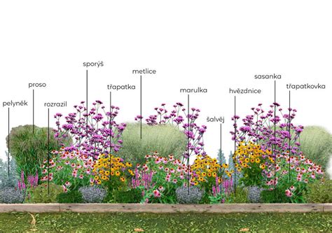Detailne navrhnutý kvitnúci trvalkový záhon s rôznymi výškovými úrovňami rastlín