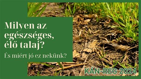 ilustrácia rozdielov medzi záhradnou pôdou a hotovým substrátom