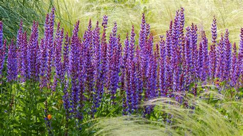 Ideálne slnečné stanovisko pre vinič s priepustnou pôdou