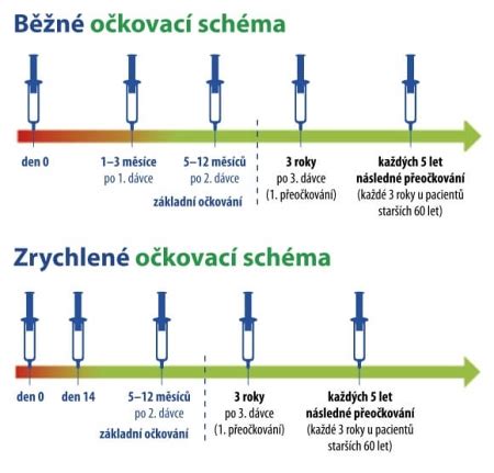 schéma očkovania do T-rezu