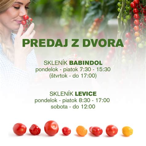 Ilustrácia rôznych odrôd plodov rakytníka: oranžové, žlté, červené