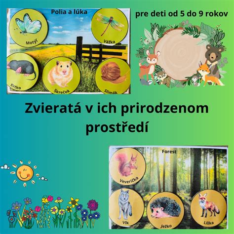ilustrácia vresu obyčajného v jeho prirodzenom prostredí, vresovisko