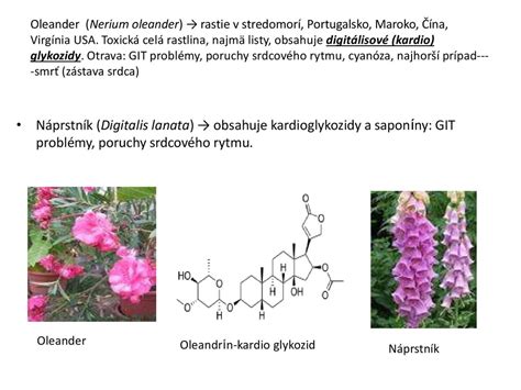 infografika o funkciách draslíka a síry v rastlinách