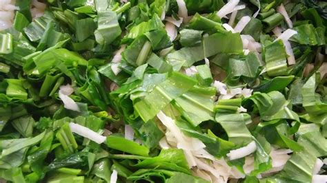 Ilustračná fotografia lesnej pôdy pokrytej zeleňou medvedieho cesnaku