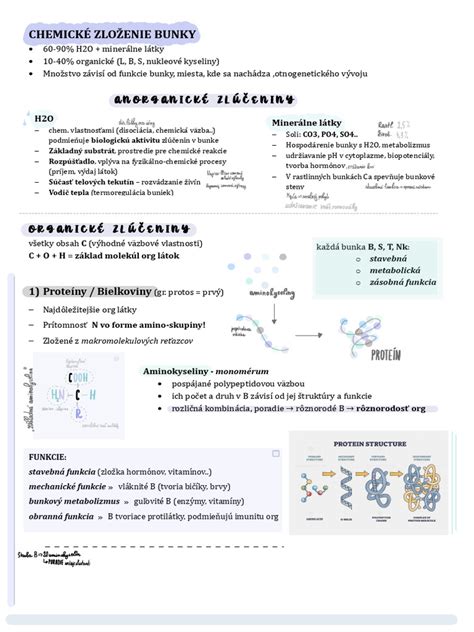 Infografika zobrazujúca chemické zloženie hrozna a procesy premeny muštu na víno.