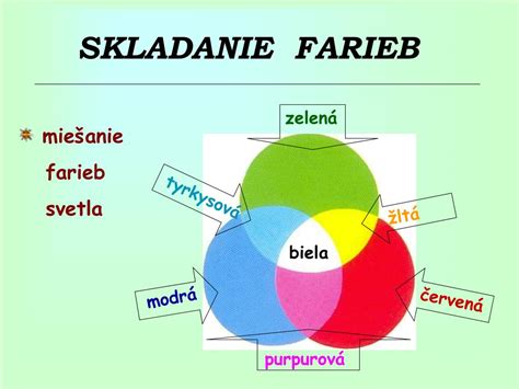 Fotografia farebných mrkiev (oranžová, fialová, žltá, biela)