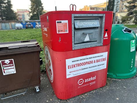Ilustrácia zrelých cibúľ pripravených na zber
