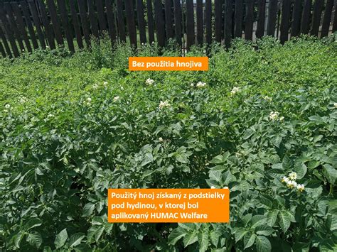 Schéma: Porovnanie tradičného poľnohospodárstva a regeneratívneho prístupu s využitím organických hnojív a mikroorganizmov