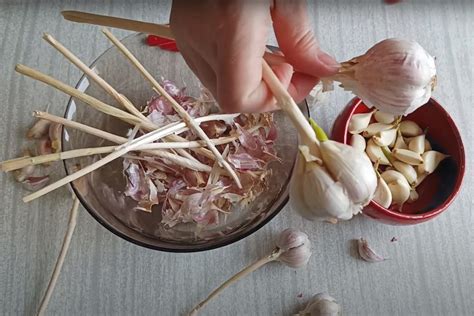 Ilustrácia znázorňujúca správne zavesený cesnak na sušenie