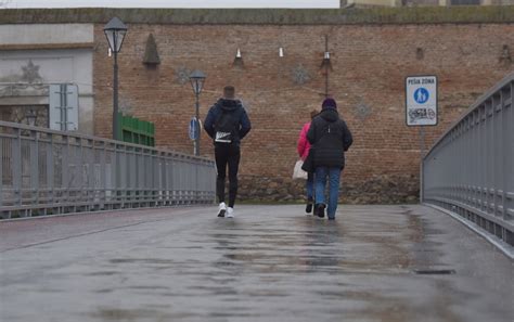 Schéma znázorňujúca ideálne podmienky: slnečné stanovište, priepustná pôda a dostatočná zálievka.