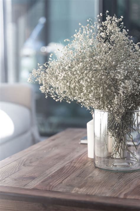 Sušené vetvičky gypsomilky v aranžmáne