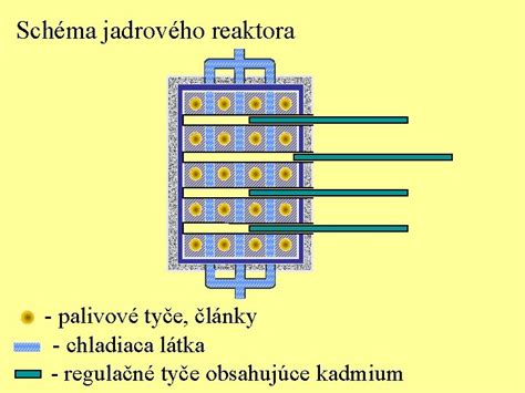 Schéma jadrového dualizmu a delenia nálevníka